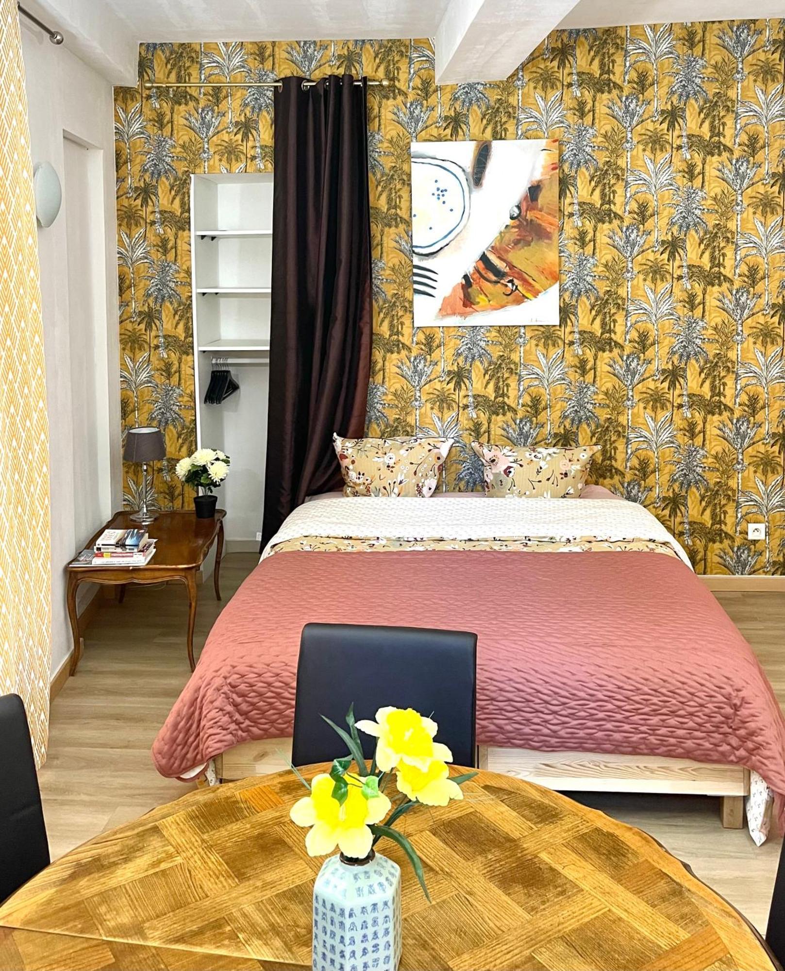 Art Apparts Coeur De Ville Béziers Eksteriør billede